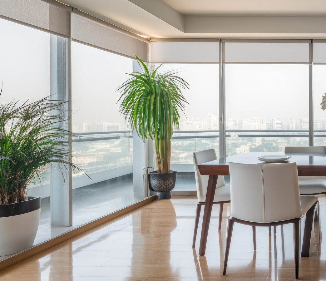 Roller shades living room